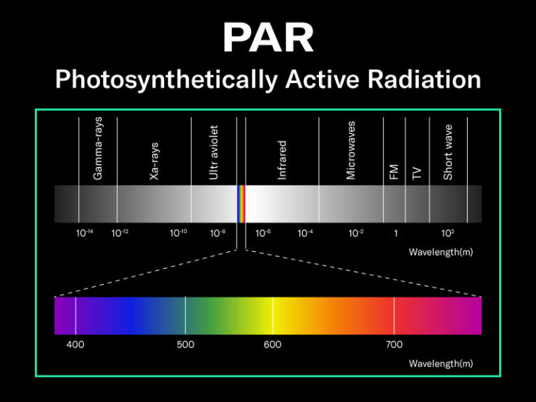 PAR