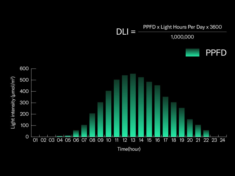 Calculate DLI