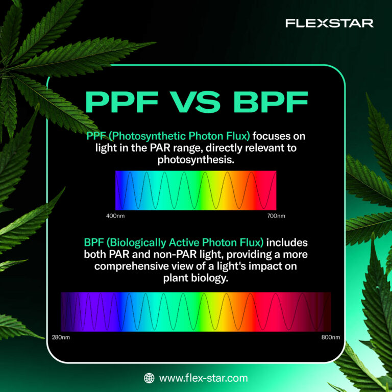 PPF, BPF