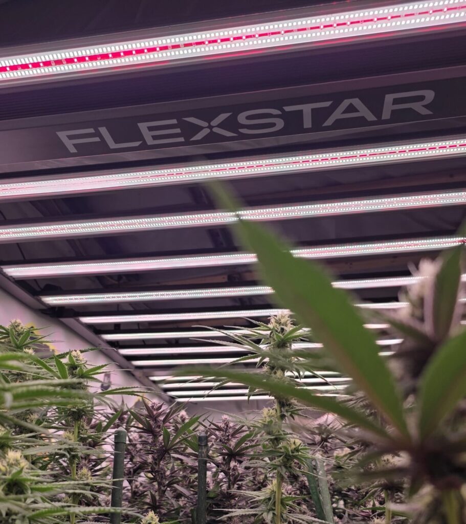 tunable spectrum LED grow lights